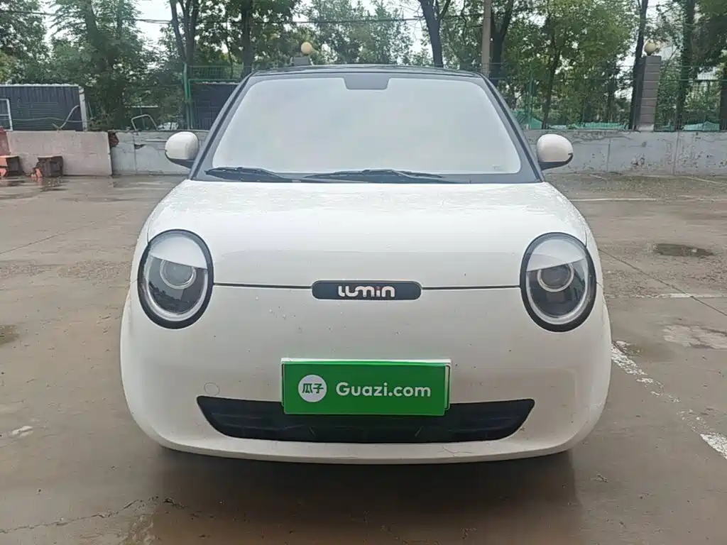 Qiyuan Lumin — миниатюра 3