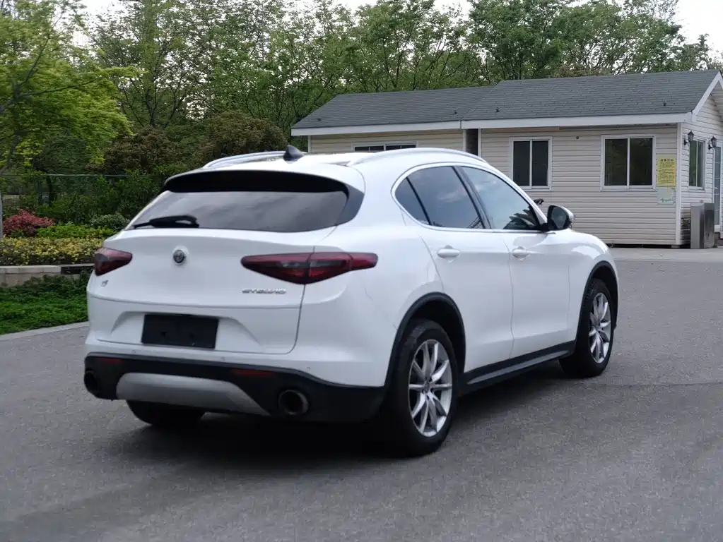 Alfa Romeo Stelvio 2.0T 200HP Luxury Edition, фото 7