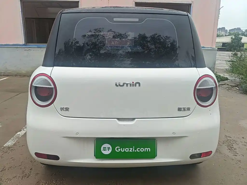 Qiyuan Lumin — миниатюра 6