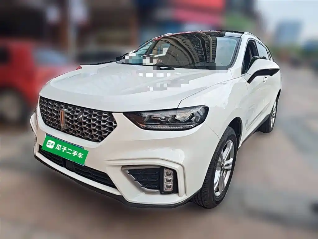 Wey Wey VV5 2020