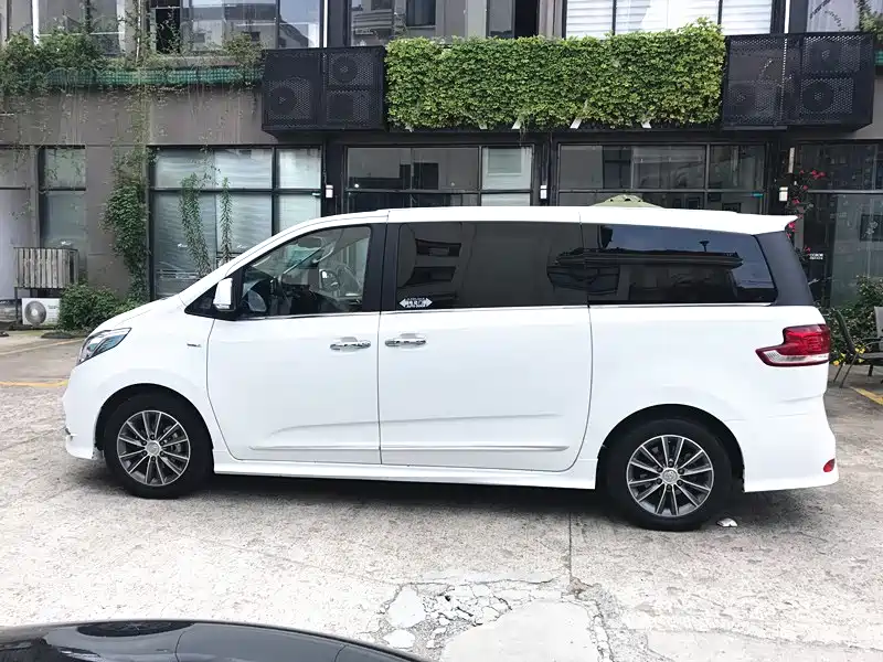 SAIC MAXUS CHASE G10