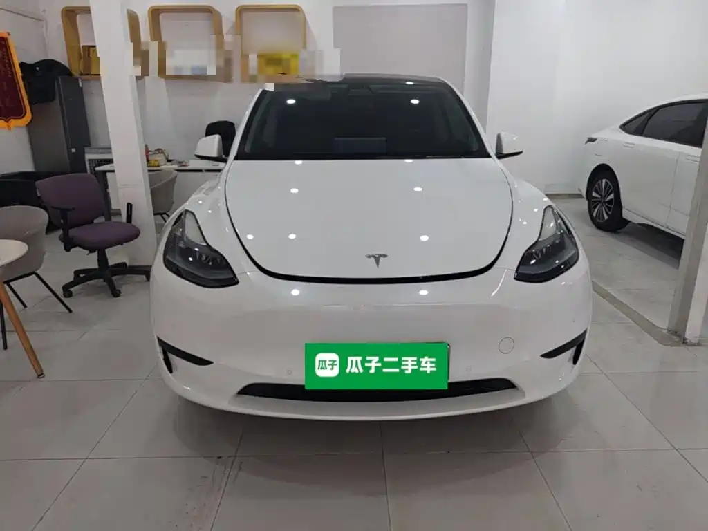 Tesla Model Y — миниатюра 3