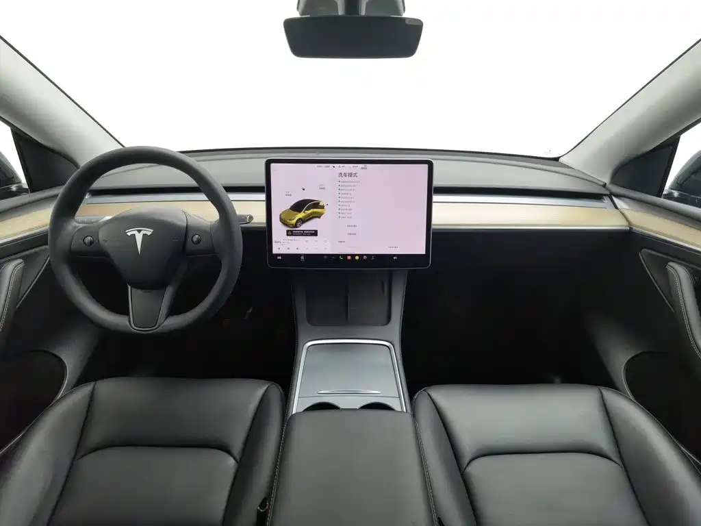 Tesla Model Y — миниатюра 5