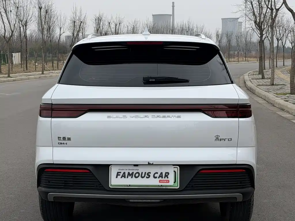 BYD SONGJIANG NEW ENERGY