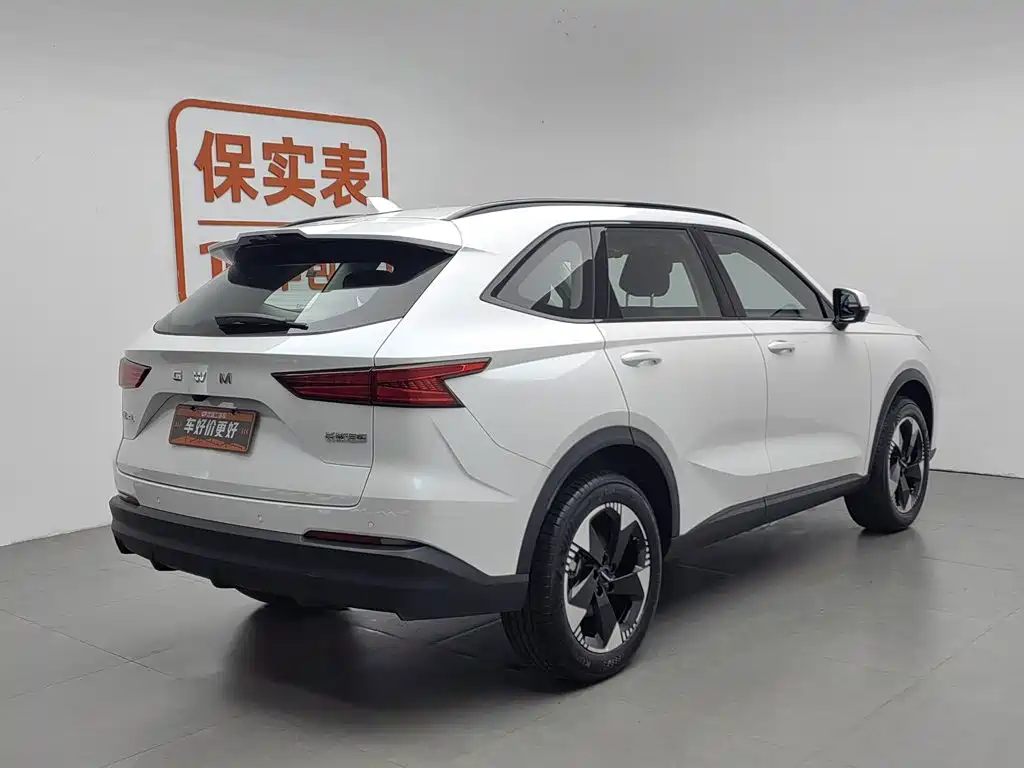 Haval 哈弗H6L — миниатюра 2