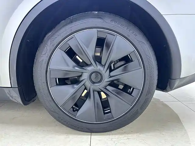 Tesla Model Y — миниатюра 16