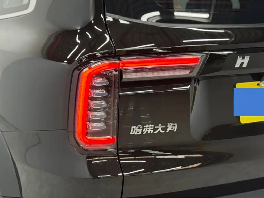 Haval Big Dog — миниатюра 9