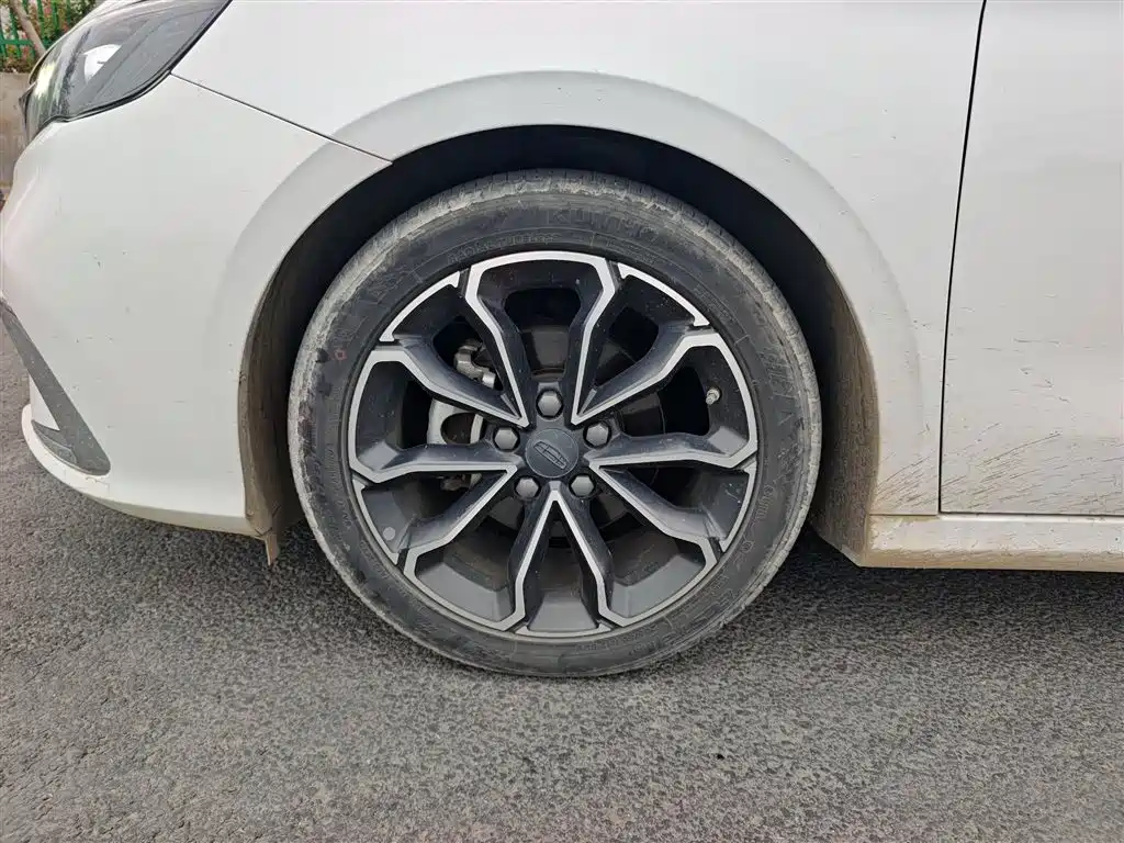 Geely Binrui - фото 23