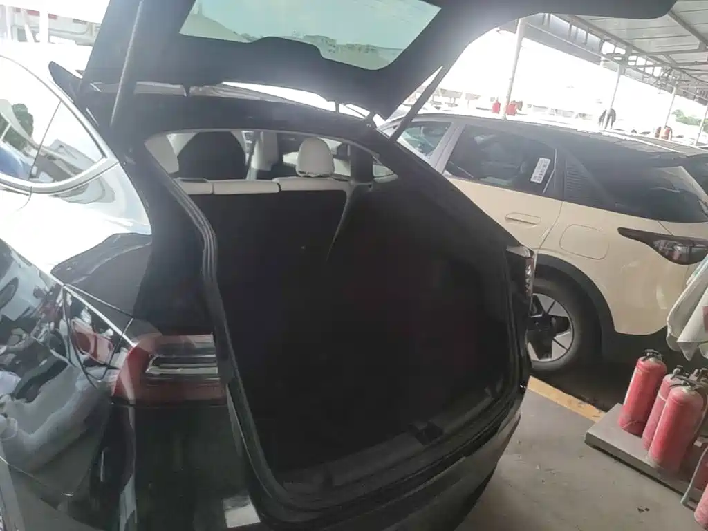 Tesla Model Y — миниатюра 19