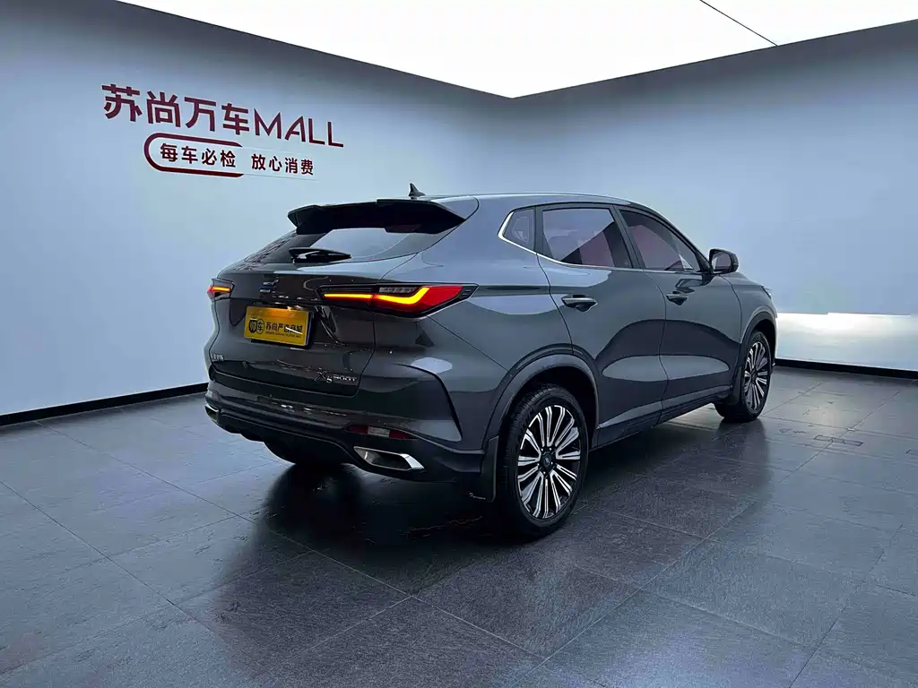 Oshan Oushang X5 — миниатюра 7