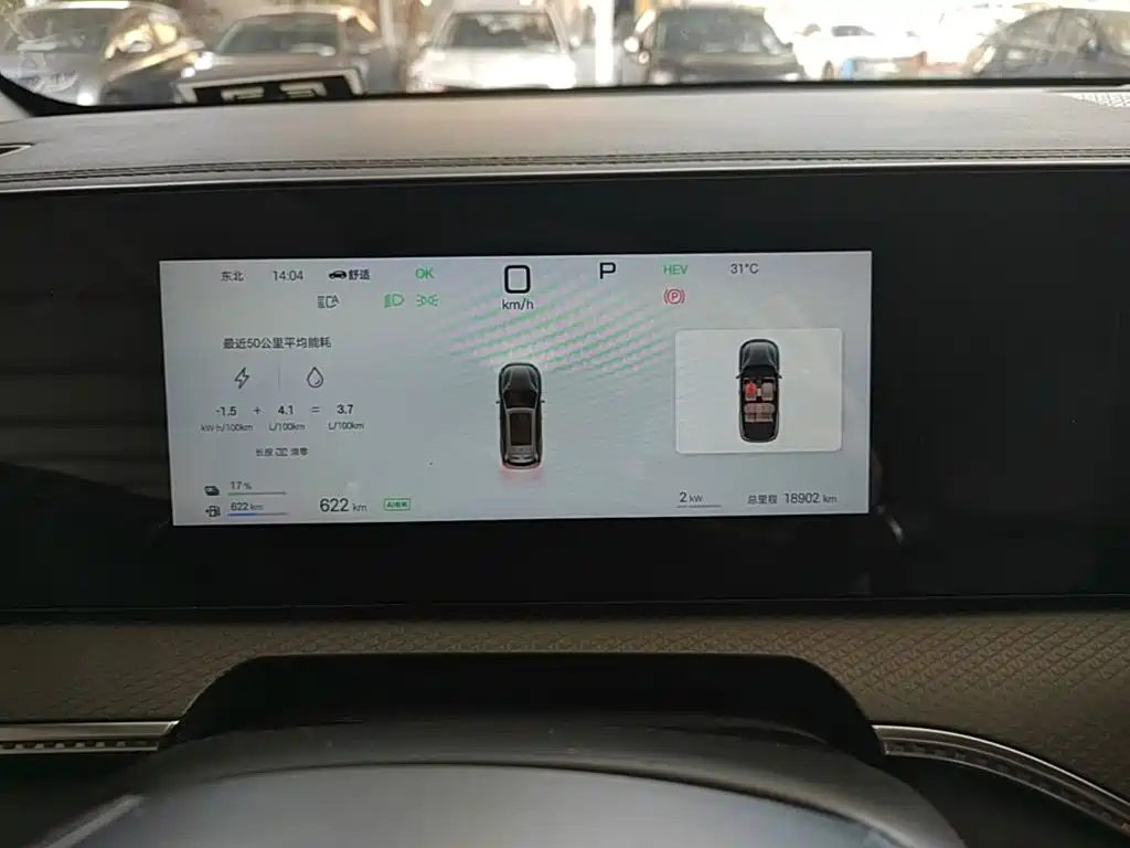 BYD Pro New Energy - фото 12