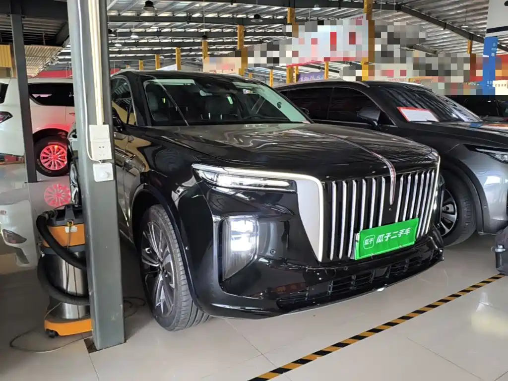 Hongqi Hongqi E-HS9 — миниатюра 4