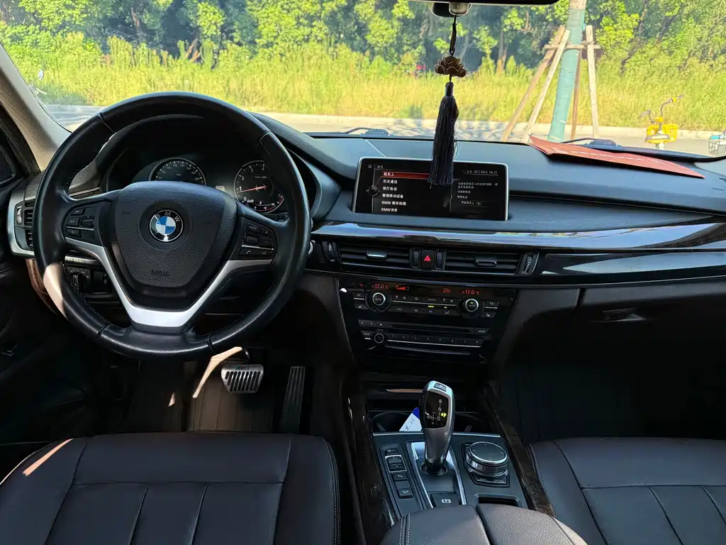 BMW X5 (Import) — миниатюра 12