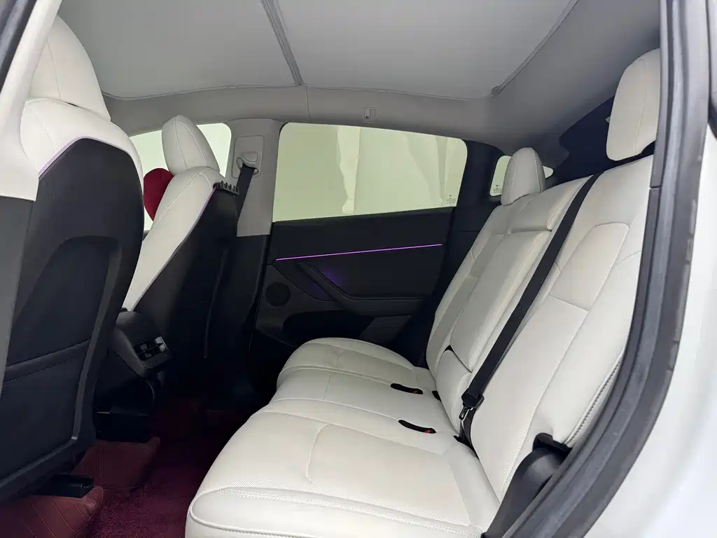 Tesla Model Y — миниатюра 9