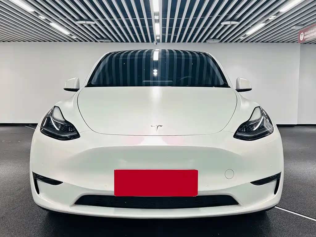 Tesla Model Y — миниатюра 2