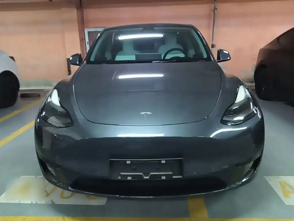 Tesla Model Y — миниатюра 3