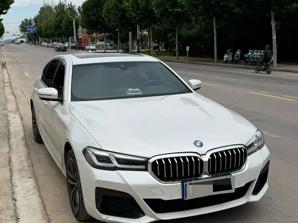 BMW 5 Series — миниатюра 3