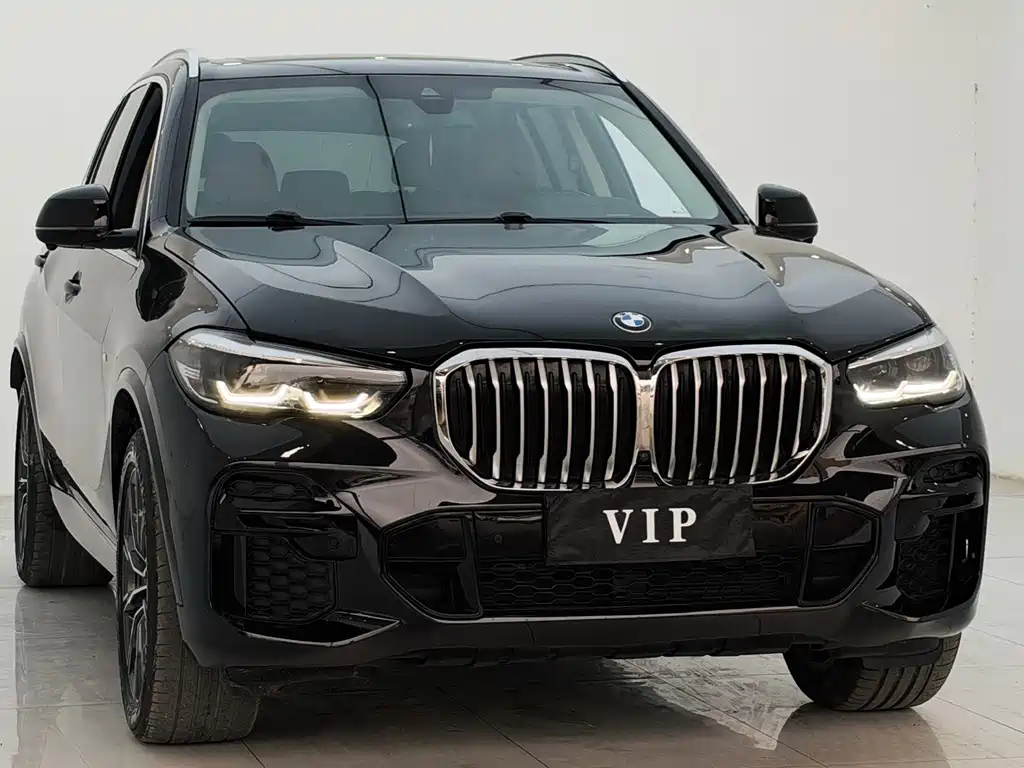 BMW X5 — миниатюра 3