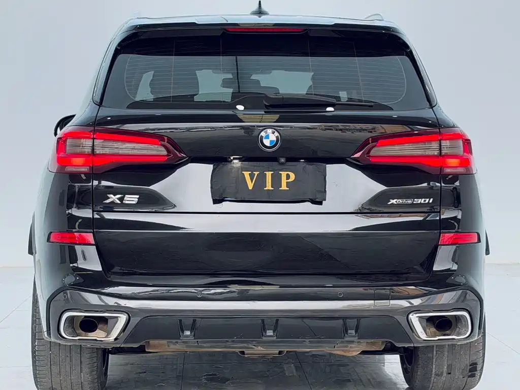 BMW X5 — миниатюра 10