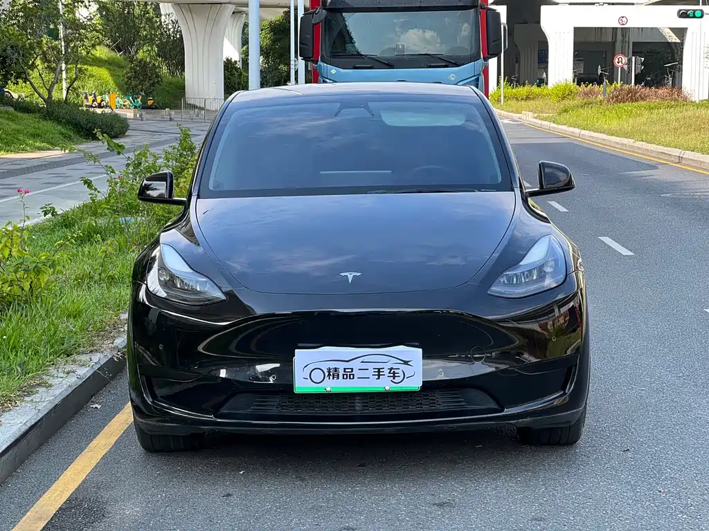 Tesla Model Y — миниатюра 3