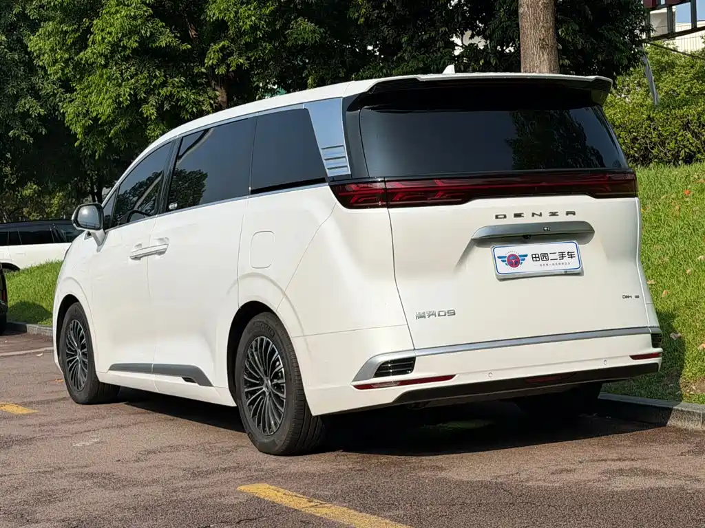 Denza Denza D9 — миниатюра 4