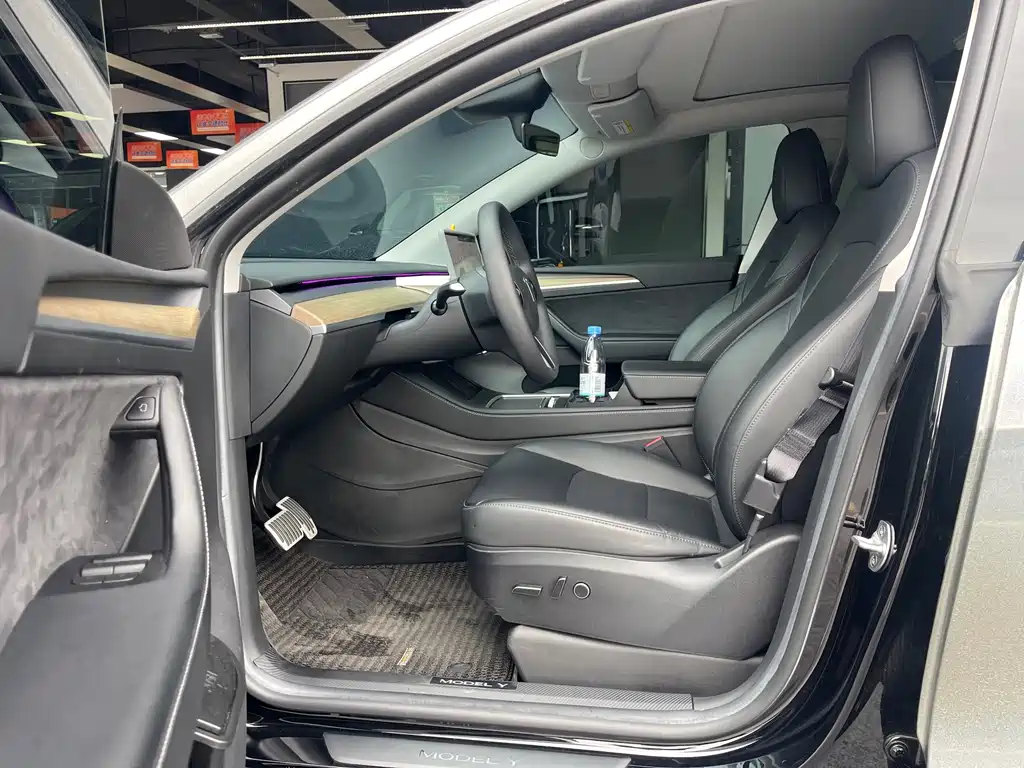 Tesla Model Y — миниатюра 7