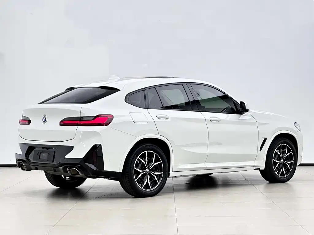 BMW X4 — миниатюра 2