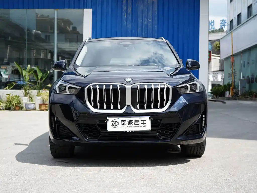 BMW X1 — миниатюра 2