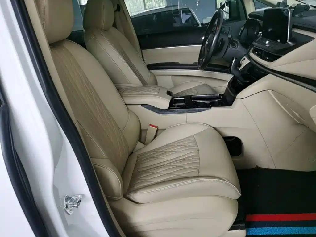Buick GL8 — миниатюра 20