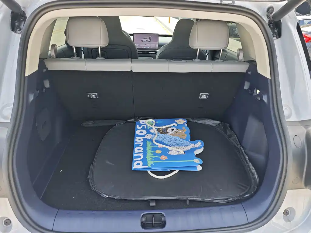 Leapmotor Leapmotor A10 — миниатюра 17