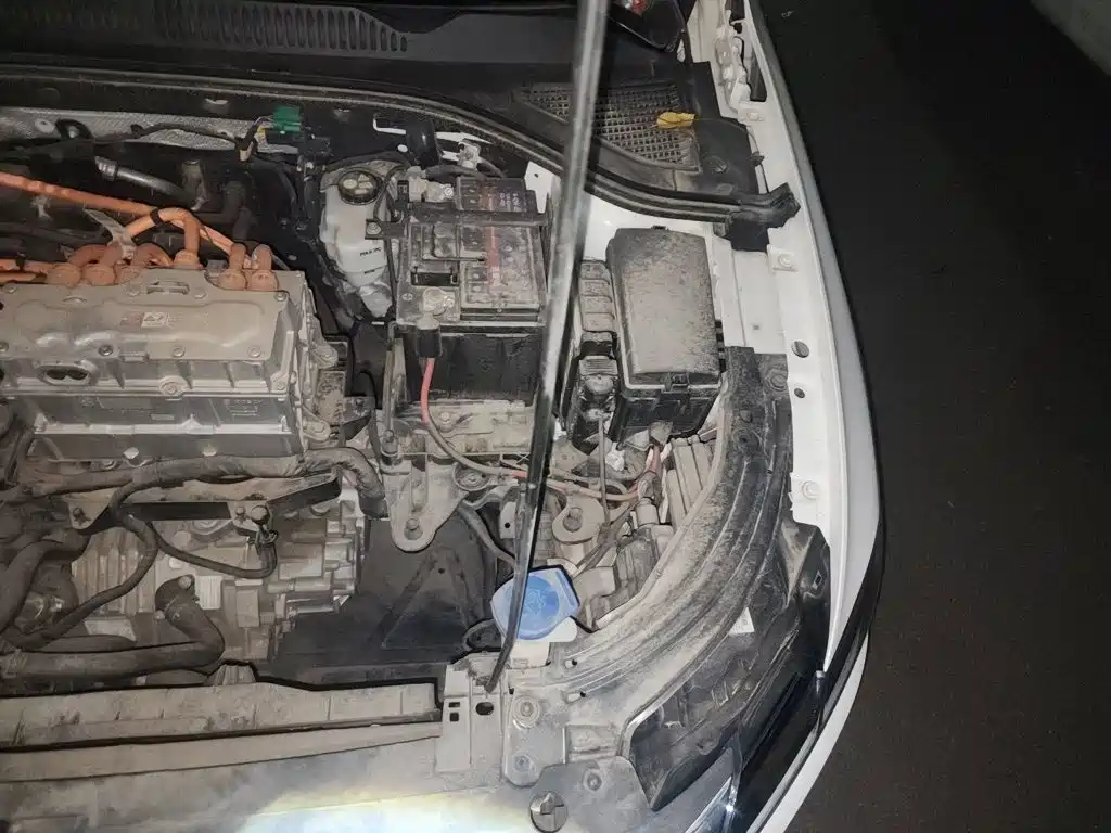 Volkswagen Lavida Pure Electric — миниатюра 20