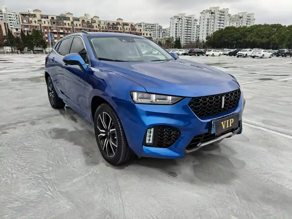 WEI PAI WEI BRAND VV7