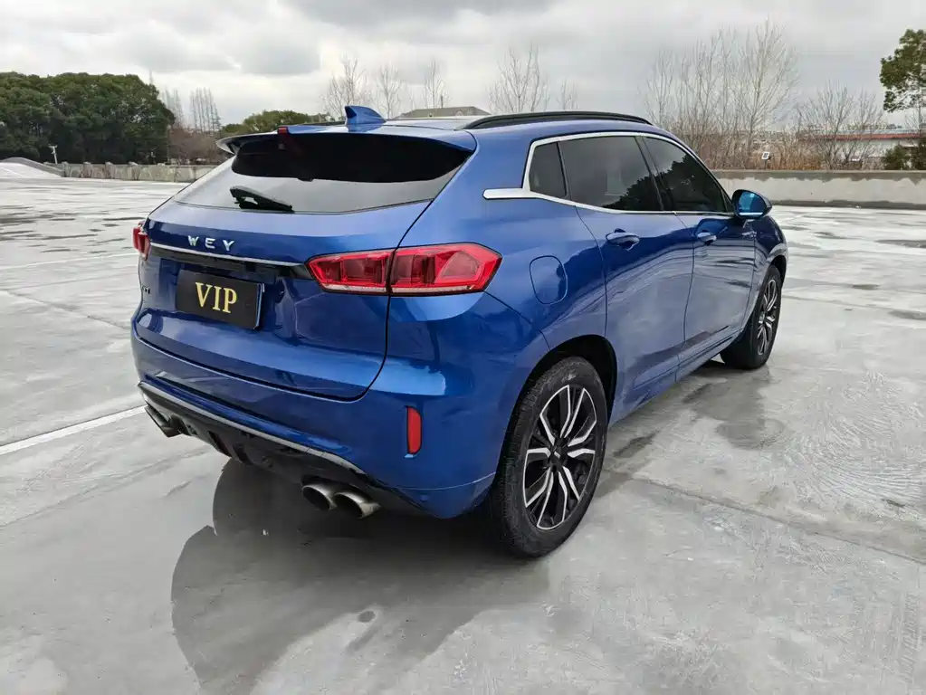 WEI PAI WEI BRAND VV7