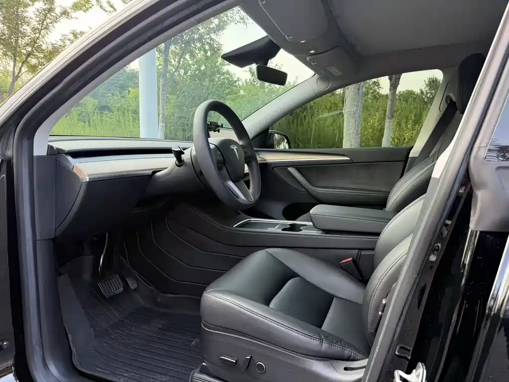 Tesla Model Y — миниатюра 8