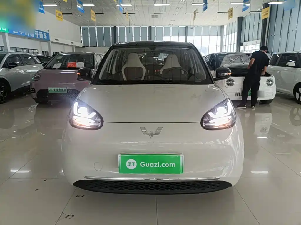 Wuling Binguo 2024 333km Enjoy
