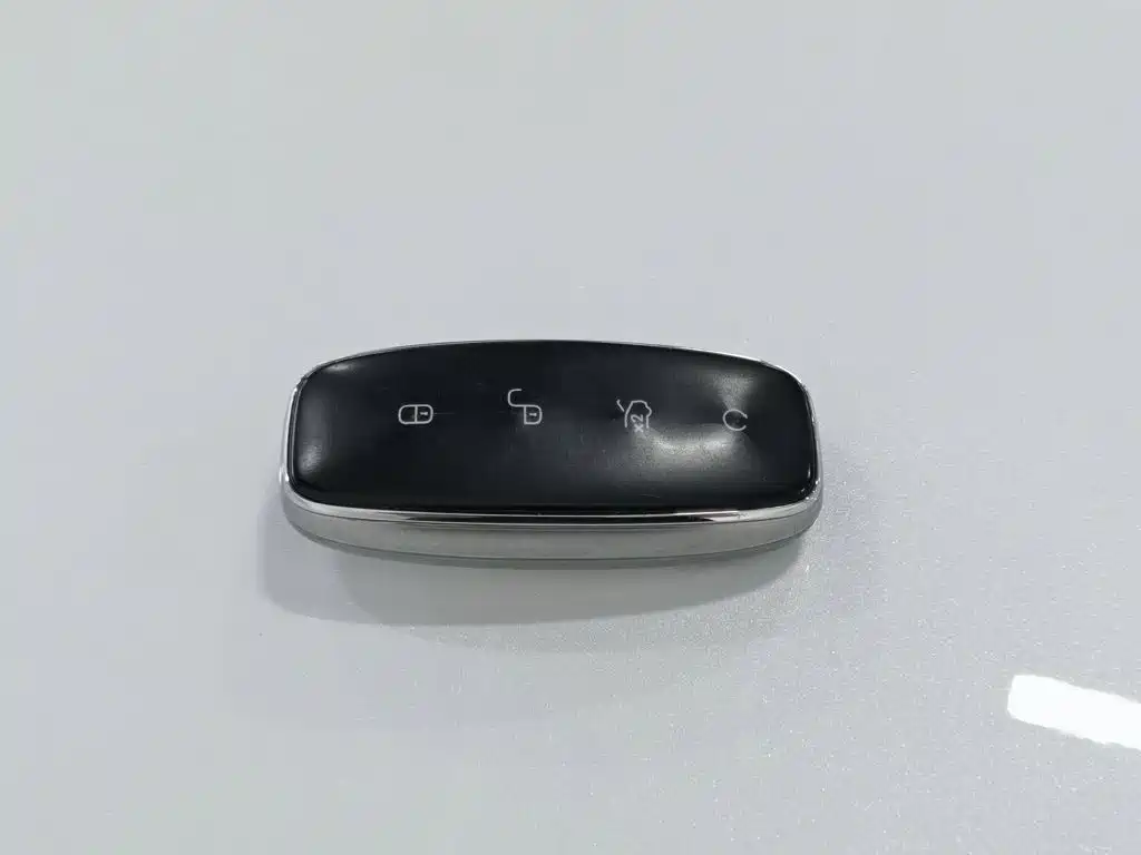 Denza Denza D9 — миниатюра 19