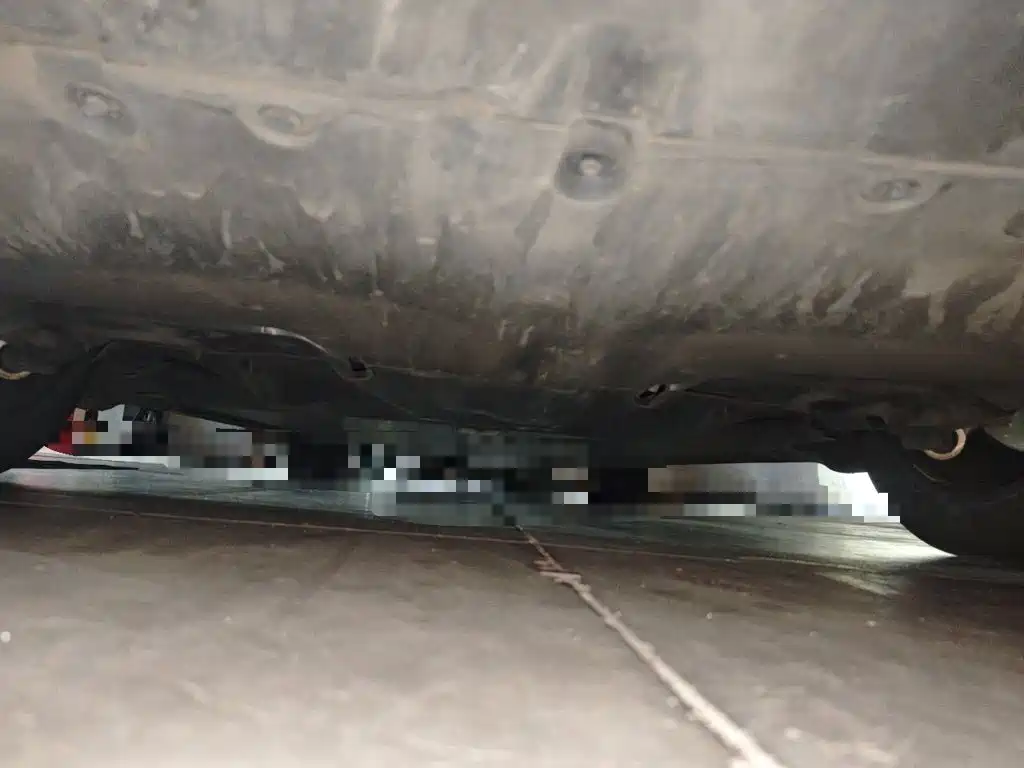 Tesla Model Y — миниатюра 24