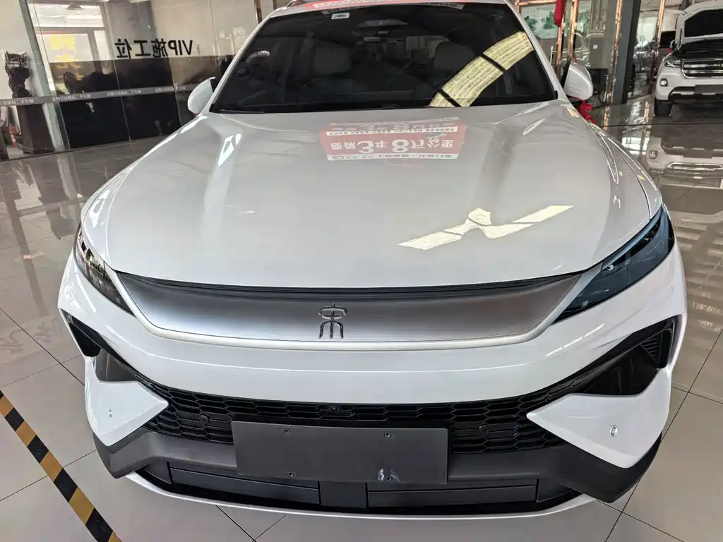 BYD Pro New Energy — миниатюра 2