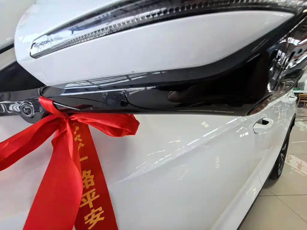 BYD Pro New Energy — миниатюра 13