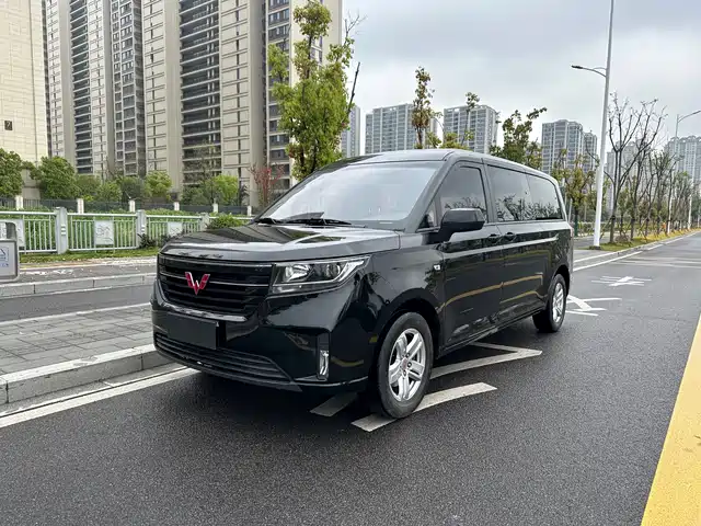 2022 Wuling Motors Zhengcheng