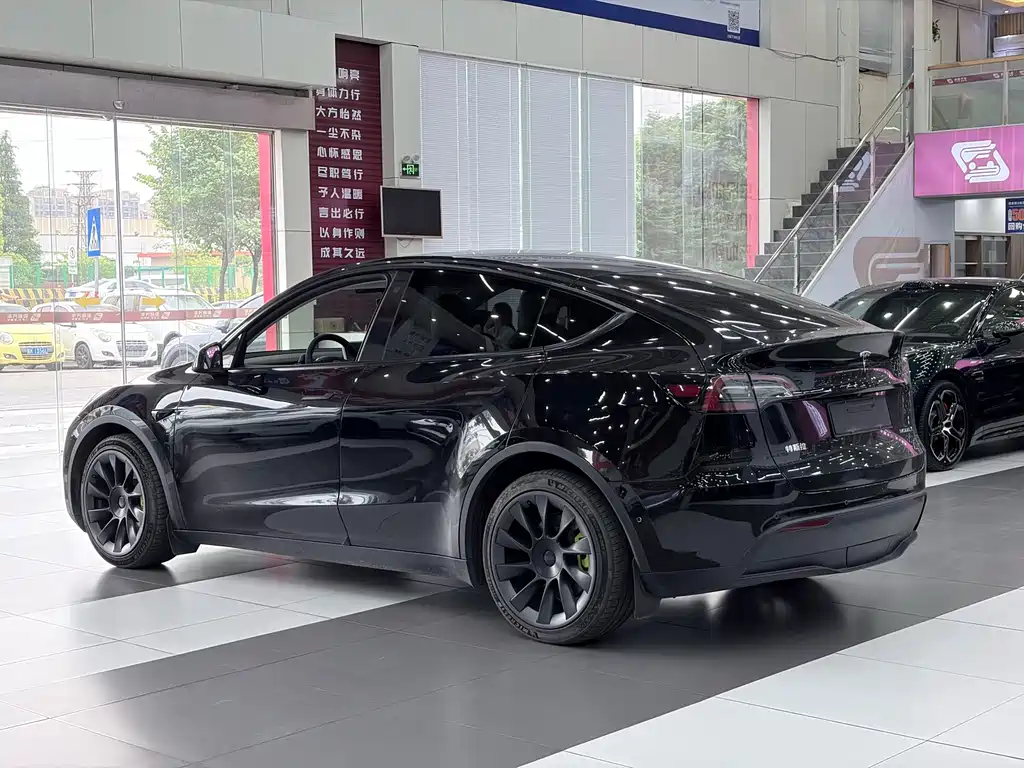Tesla Model Y — миниатюра 3
