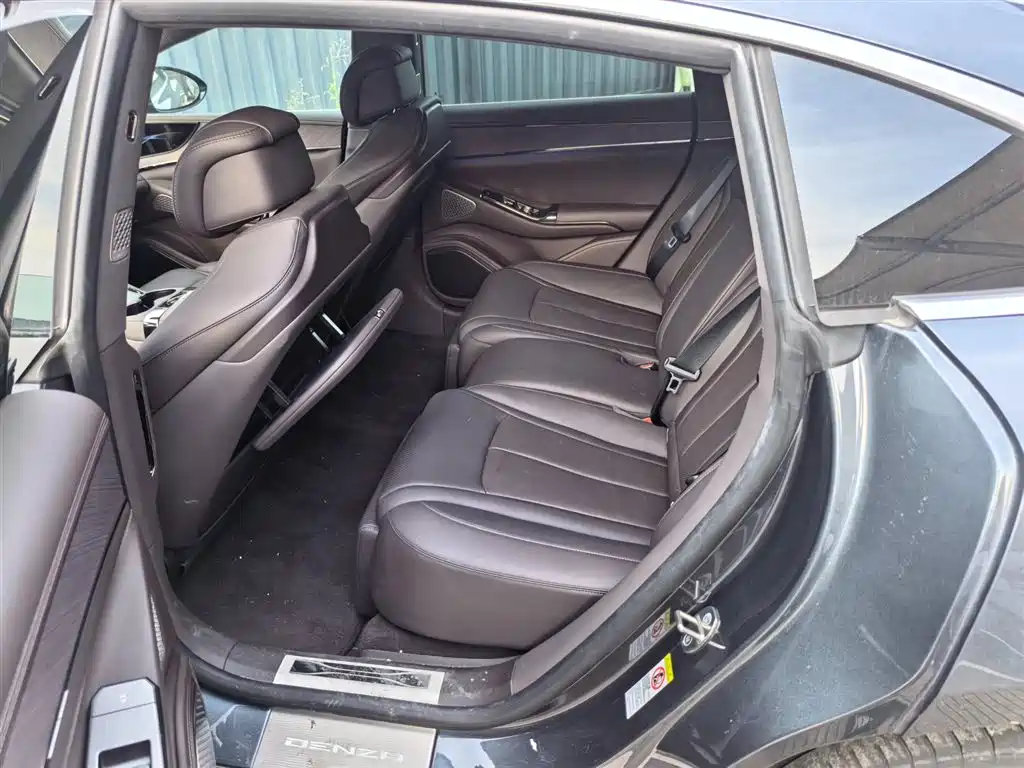 Denza Z9 2024 1100km Max