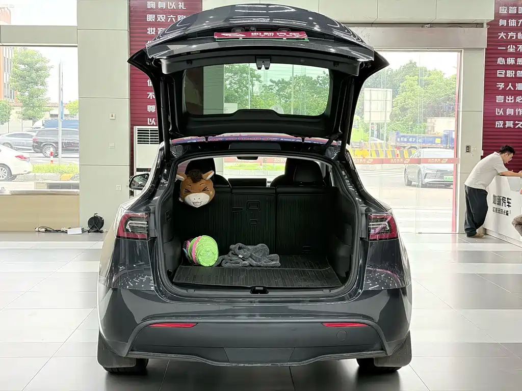 Tesla Model Y — миниатюра 9