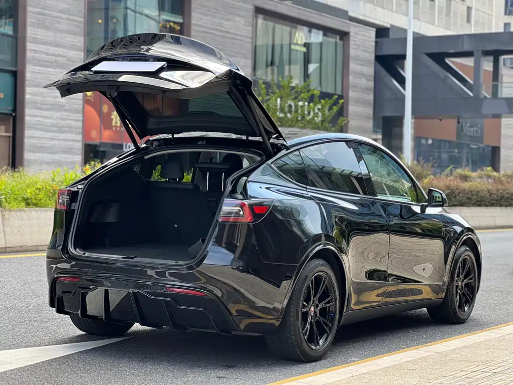 Tesla Model Y — миниатюра 21