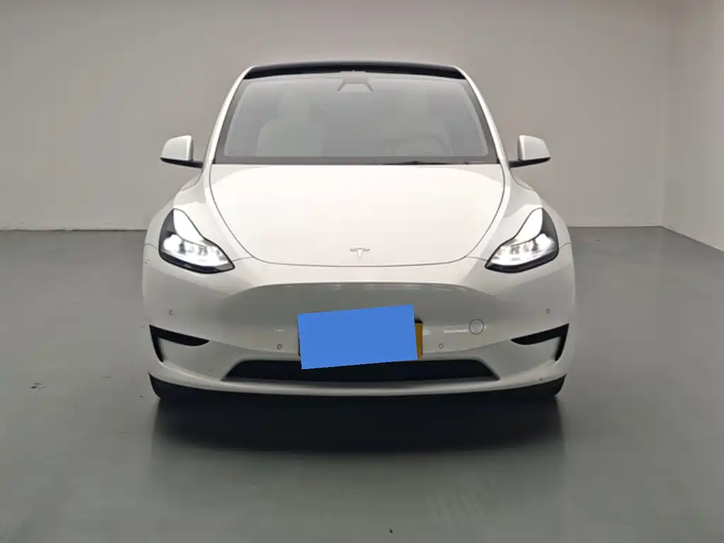 Tesla Model Y — миниатюра 2