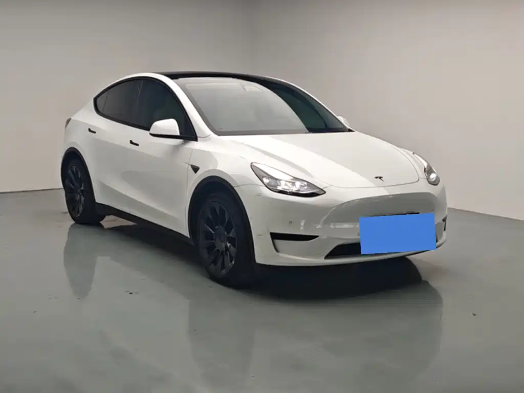 Tesla Model Y — миниатюра 3