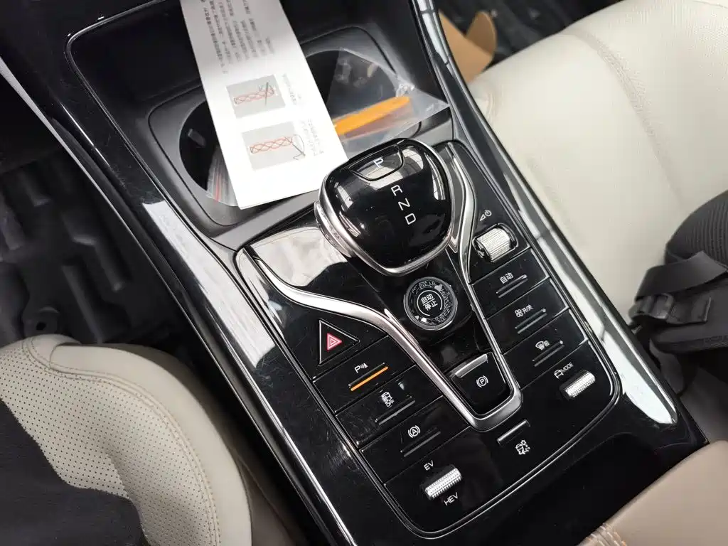 BYD Qin Plus PLUS 2024 DM-i 55KM Lead