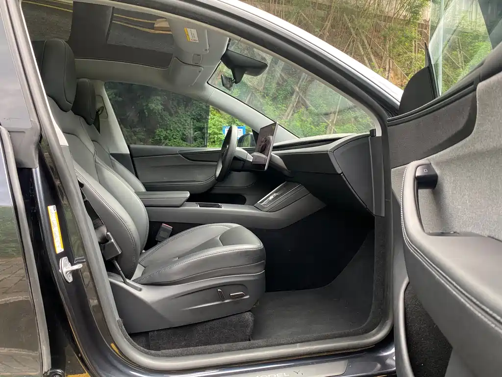 Tesla Model Y — миниатюра 12
