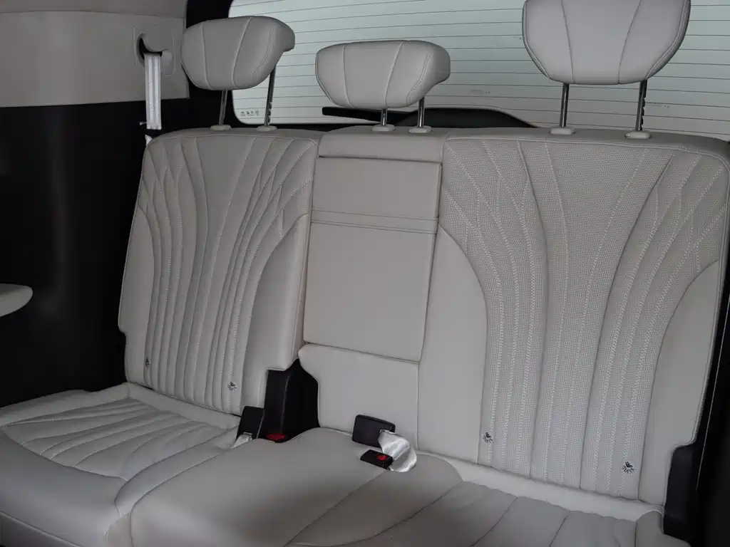 Hongqi Hongqi HQ9 — миниатюра 19