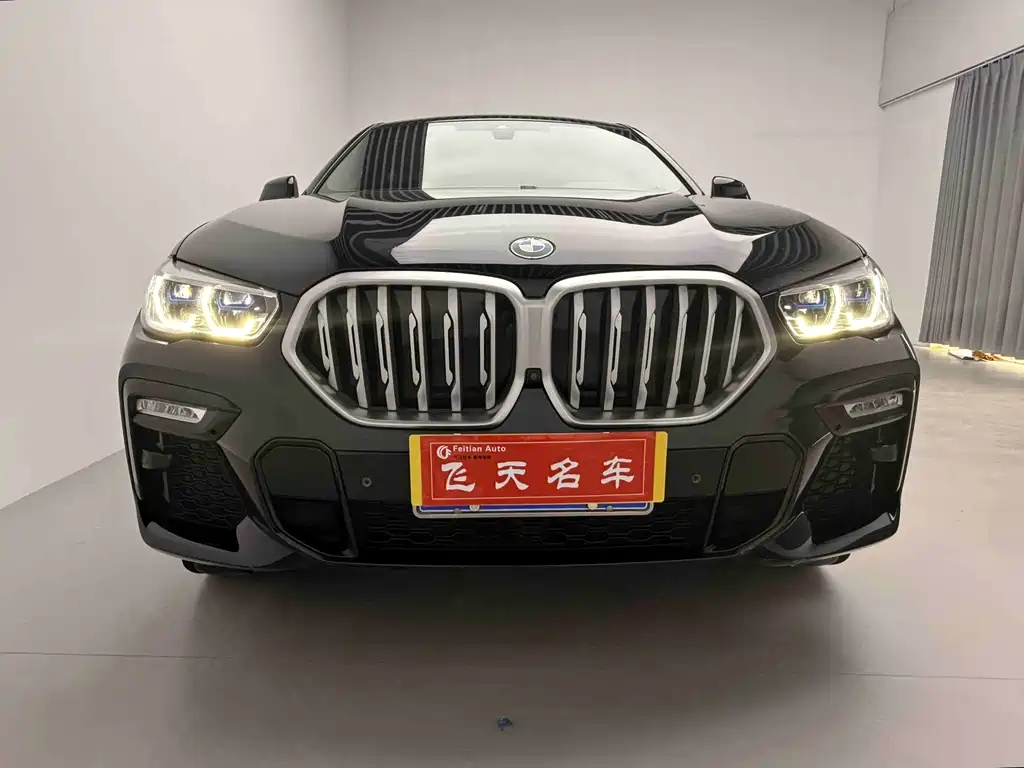 BMW X6 2021